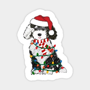 Cute Sheepadoodle Wrapped In Christmas Lights Magnet