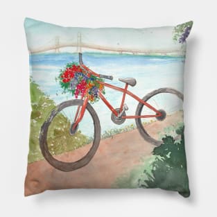 The Journey Pillow