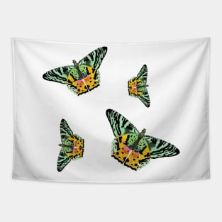 Colorful Butterfly , Cute Light Butterflies Gift Idea Tapestry