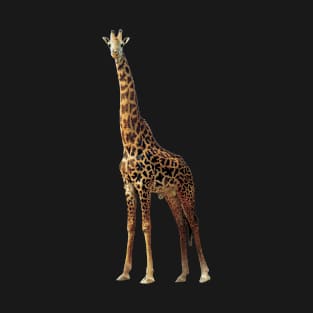 Giraffe T-Shirt