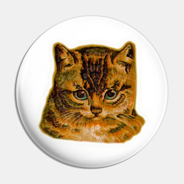 Cat face painted with oil on canvas, vintage, old print and with class of honor to the cats Pin by Marccelus