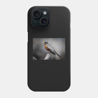 American Robin Phone Case