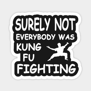 Surely Not Everybody Was Kung Fu Fighting , Funny Joke Magnet