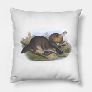 Platypus Australian Animal Illustration Pillow