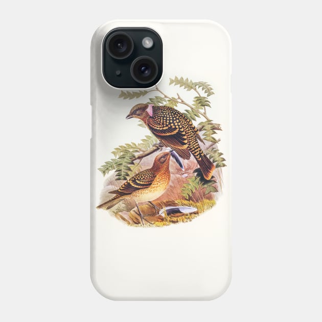 Guttated Bower-bird Phone Case by WAITE-SMITH VINTAGE ART