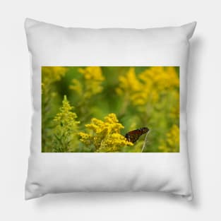 Monarch in Repose Pillow