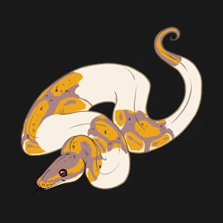 Pied Banana Ball Python T-Shirt