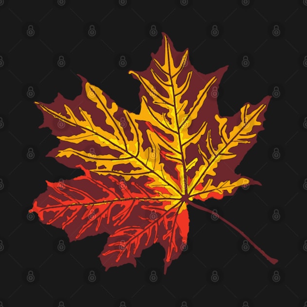 Maple leaf by artbyluko