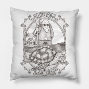 MASTER OF THE TURTLE HOUSE - lines Pillow