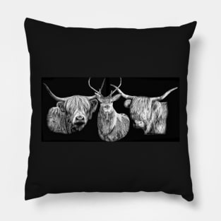 Highland Portraits Pillow