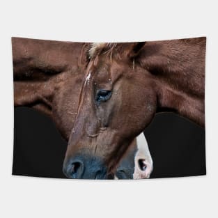 Horse Talk Tapestry