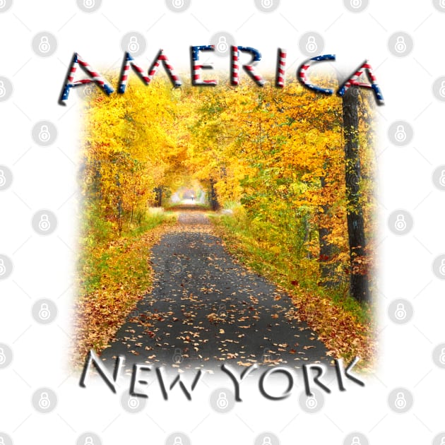 America - New York State fall colours by TouristMerch