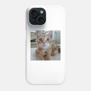 Woody the cat Phone Case