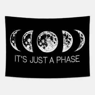 Moon Phases Astronomy Humor Tapestry