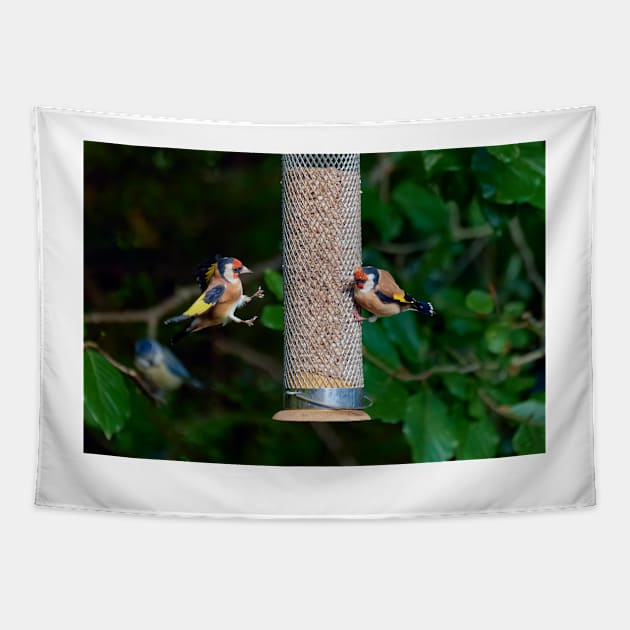 Squabbling Goldfinches Tapestry by GrahamPrentice