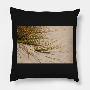 Sand grass. Pillow