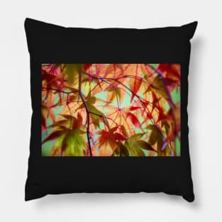 50 Reasons Why We Love Autumn Pillow