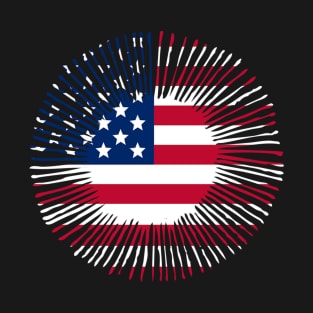 USA T-Shirt