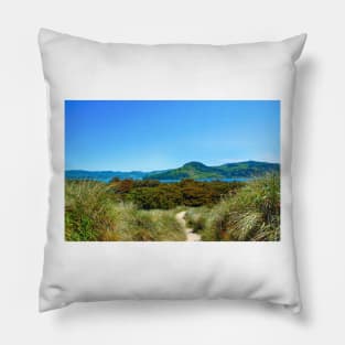 Footpath to Nestucca Pillow