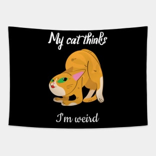 My cat thinks I am weird Tapestry