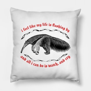 I Feel Like My Life Is Flashing By ∆ Nihilist Anteater Design Pillow