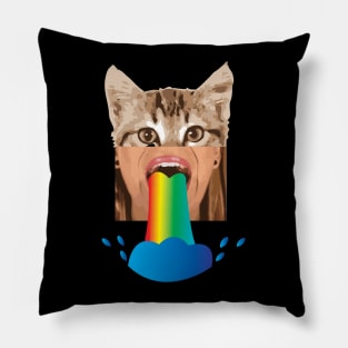 Cat Rainbow - Zine Culture Pillow