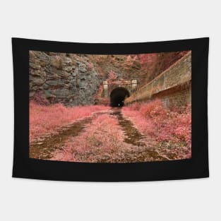 Paw Paw Tunnel - Pink Netherworld Tapestry