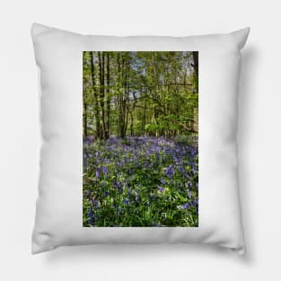 Bluebells Everdon Stubbs Wood Pillow