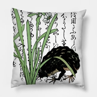 Eighteenth Century Japanese Botanical Frog Toad Daffodils Pillow