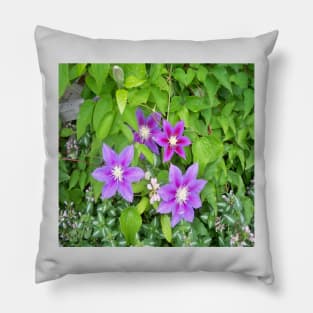 Clematis Pillow