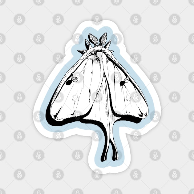 Luna Moth illustration Magnet by CreatorJ