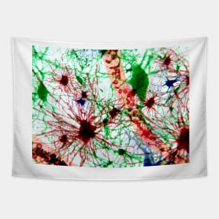 Brain cells, illustration (F013/1488) Tapestry