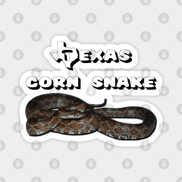 Texas Corn Snake Magnet by Paul Prints