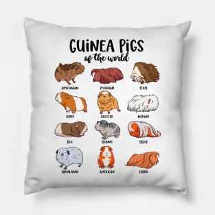 Guinea pigs of the world - Various kawaii guinea pigs Pillow