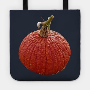 Orange Bumpy Pumpkin for Halloween Decoration Tote