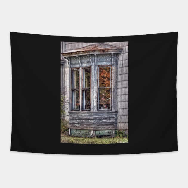 Maniac In Decline Autumn Window Tapestry by BeanME