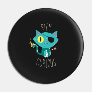 Stay Curious Pin