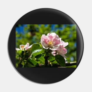 Apple blossom Pin