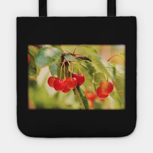 Cherry Branch Tote