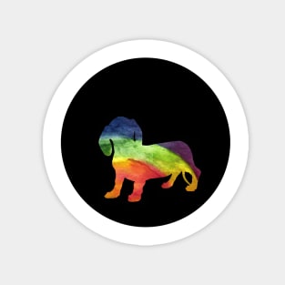 Dachshund - Rainbow Pride Silhouette Magnet