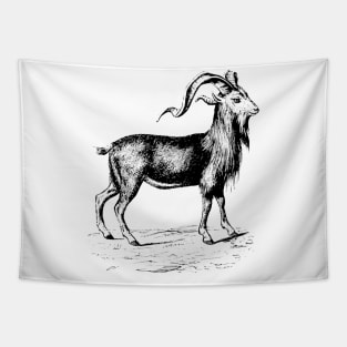 Ram Nature Drawing Tapestry