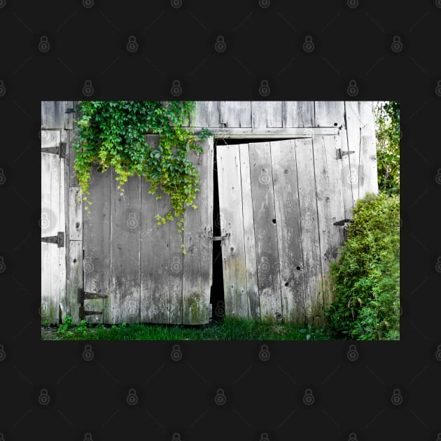 Weathered Barn Doors 2 by Robert Alsop