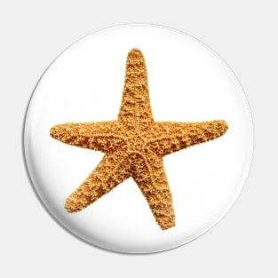 Starfish Pin