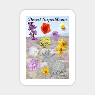 California Desert Wildflower Superbloom Magnet