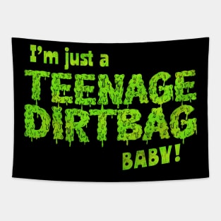 I'm Just A Teenage Dirtbag, Baby Tapestry