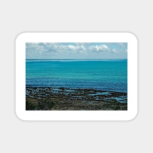 Tropical Coral Beach Seascape Landscape Magnet