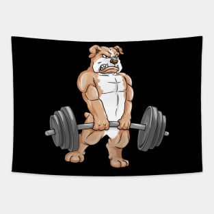 Funny bulldog as a bodybuilder Tapestry