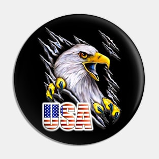 USA Eagle Beast Pin