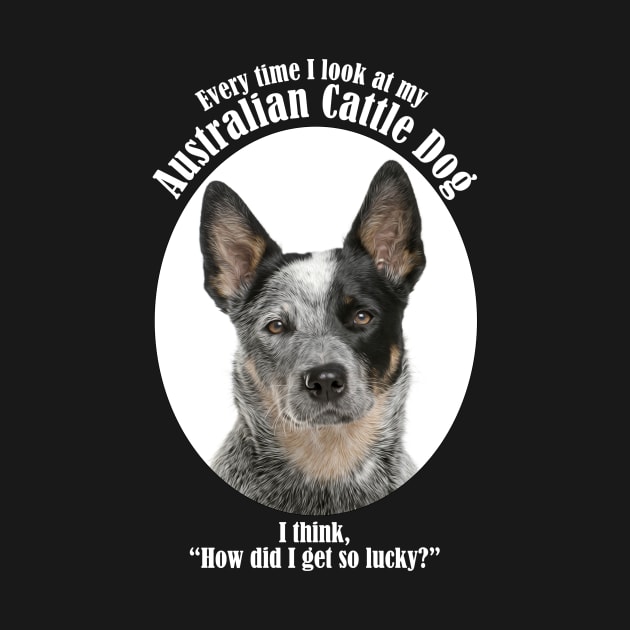 Lucky Australian Cattle Dog by You Had Me At Woof