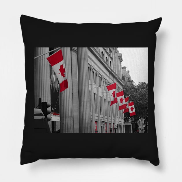 The 150th anniversary of Canada Pillow by fantastic-designs